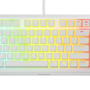 SteelSeries Apex 3 TKL Keyboard