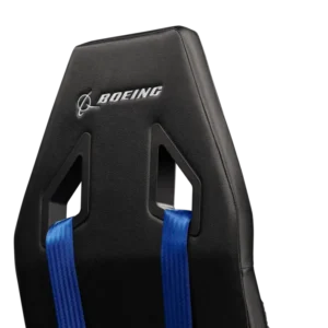 NLR Boeing Flight Commercial Edition